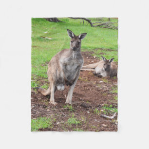 Polar Canguro Buck Australiano, Pequeña Manta De Fleece.