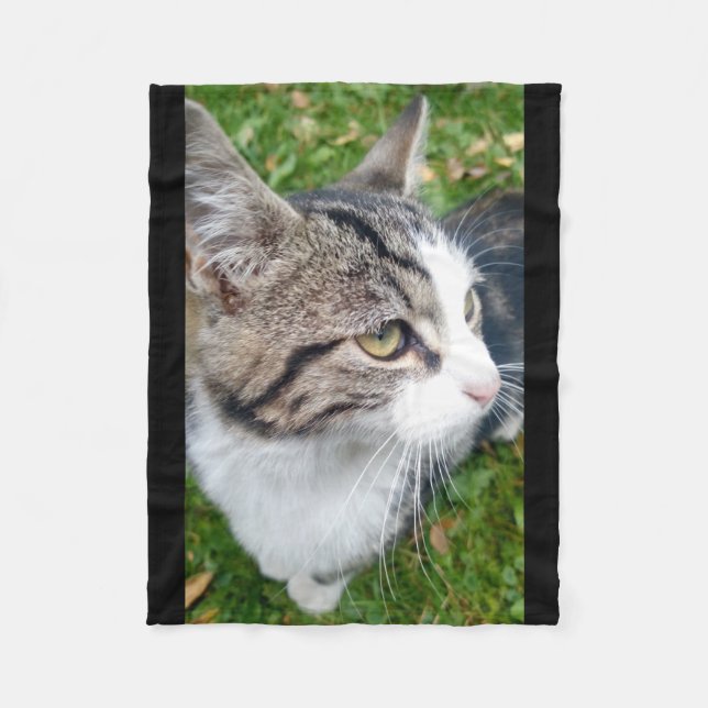 Polar Cree su propia manta del paño grueso y suave de la (Anverso)