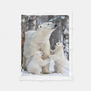 Polar Familia de osos polares en manta de nieve