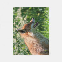 fox la manta, tiro astuto, manta del tiro del