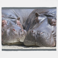 Hippopotamus en la manta grande del paño grueso y