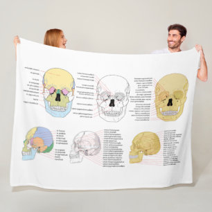 Polar Humano Anatomy Human Skull ilustrado manta