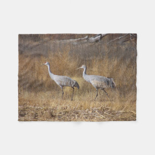 Polar Los pájaros Sandhill Cranes la manta del paño