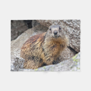 Polar Manta alpina del paño grueso y suave de la marmot