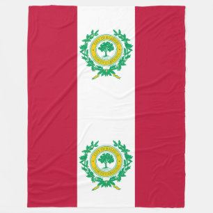 Polar Manta de felpa de la bandera de Raleigh, Carolina 