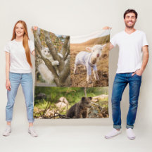 manta de fotos de animales lindos