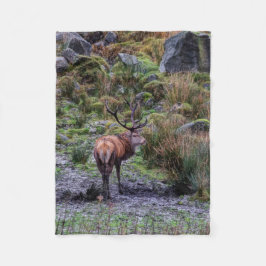 Polar manta de la fotografía del macho