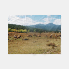 Polar Manta de la pulga de gran angular del lomo