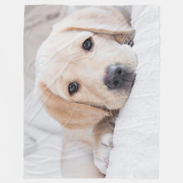 Polar manta de oro de Labrador del perrito