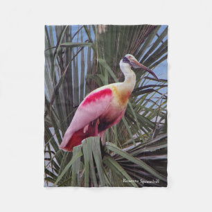 Polar Manta de pulga de Roseate Spoonbill