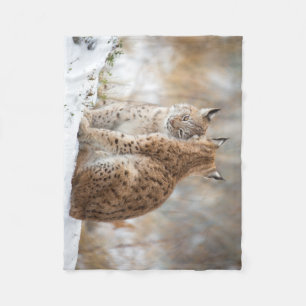 Polar Manta del amor del lince