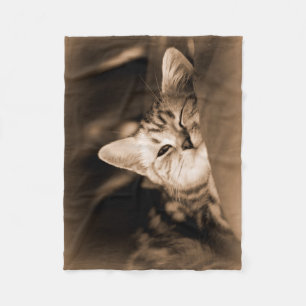 Polar manta del gato