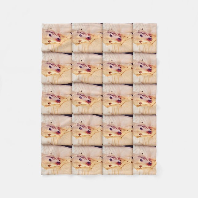 Polar Manta del paño grueso y suave del bebé de Troy (Anverso)