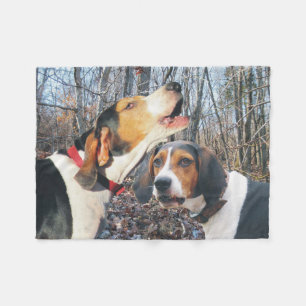 Polar Manta del paño grueso y suave del Coonhound del