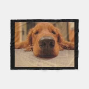 Polar Manta del paño grueso y suave del golden retrieve