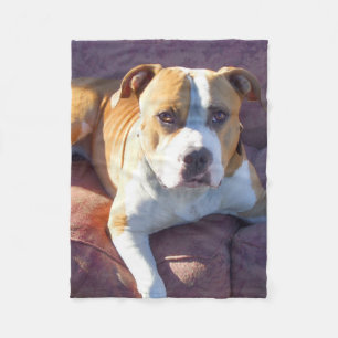 Polar Manta del paño grueso y suave del perro de Pitbul