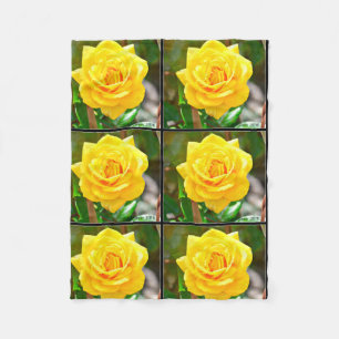 Polar Manta del paño grueso y suave del rosa amarillo