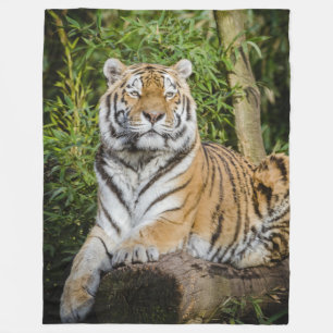 Polar Manta del paño grueso y suave del tigre