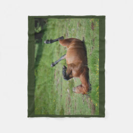 Polar manta _ italia _ parque natural de aveto _ caballo