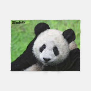 Polar Manta linda de la panda gigante