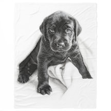Manta negra de Labrador