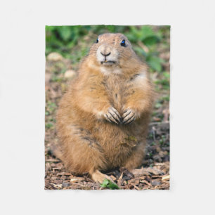 Polar No soy gordo, yo soy manta mimosa del paño grueso