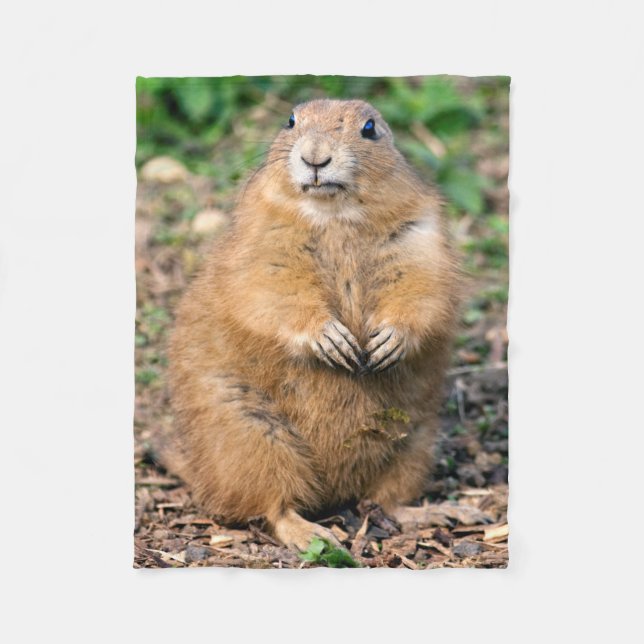 Polar No soy gordo, yo soy manta mimosa del paño grueso (Anverso)