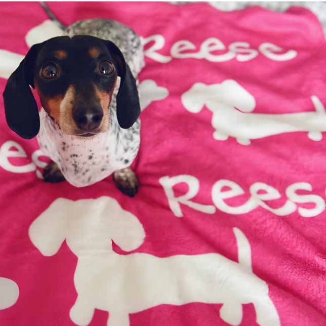 Polar Nombre del Personalizar de la manta de perro rosad (Personalized dachshund blanket - add your doxies name and favorite color)