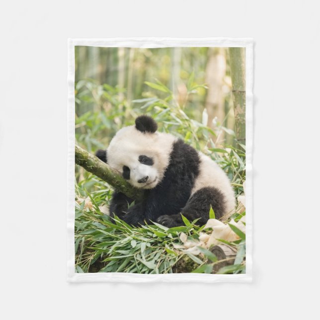 Polar Panda Durmiente en Manta de Bambú (Anverso)
