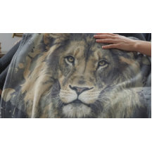 REY LEÓN CÓSMICO | Manta de felpa personalizada