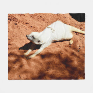 Polar Suricata Blanca Estirándose, Manta de Peluche