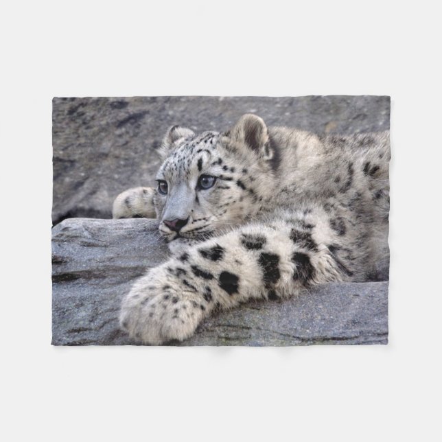 Polar Todos realizaron la manta del paño grueso y suave (Frente (Horizontal))