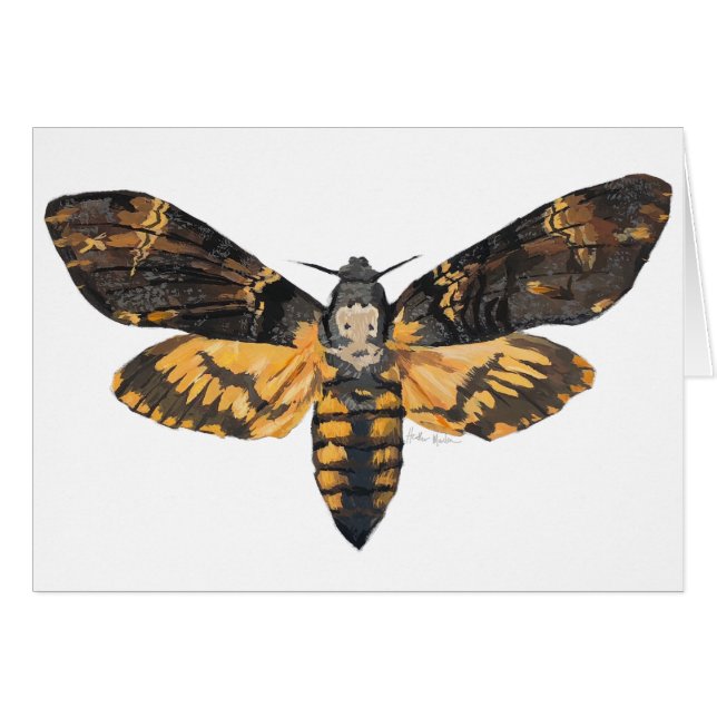 Polilla de la cabeza de muerte (Anverso (Horizontal))