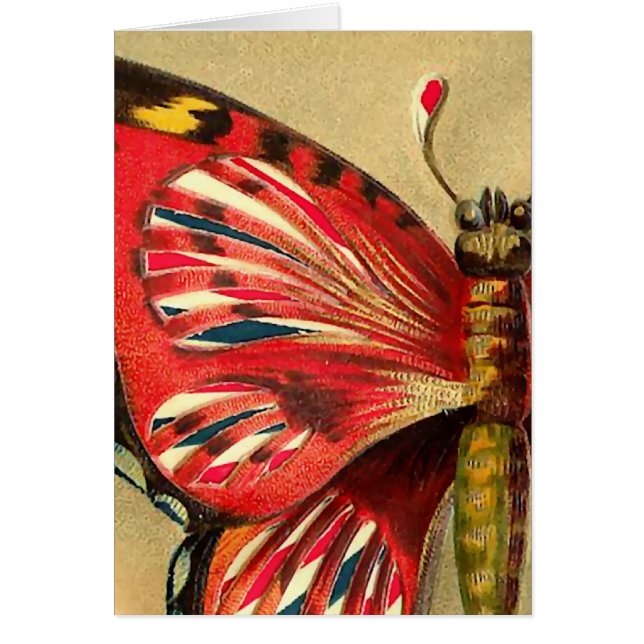 Polilla del rojo del vintage (Frente)