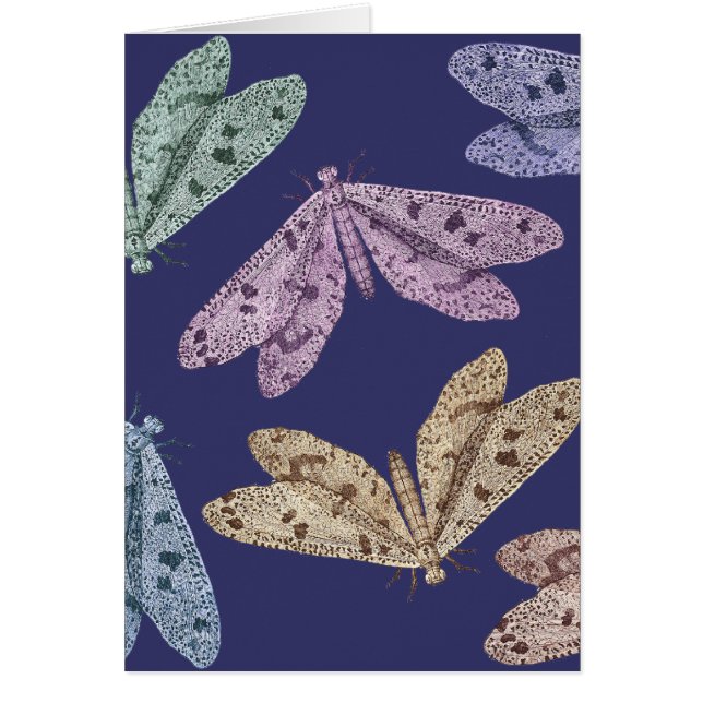 Polillas de la noche en vuelo de Encylopedia de (Frente)