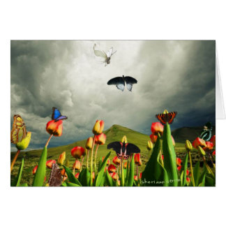 Polillas y tulipanes