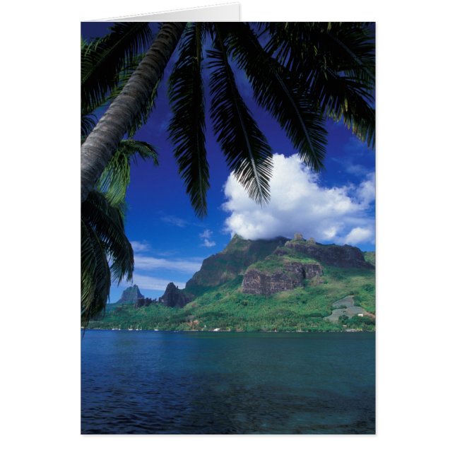 Polinesia Francesa, Moorea. Bahía de Cooks. Verde (Frente)