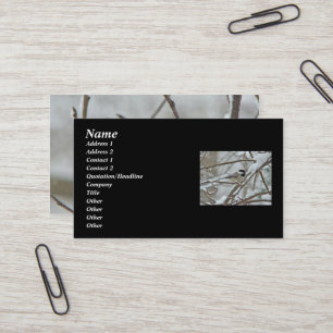 Pollito negro en tarjeta de presentación de nieve