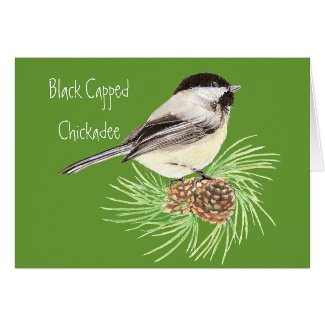 Pollo con tapa negra - Ave - Naturaleza (Anverso (Horizontal))