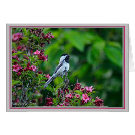 Pollo de chapa negra