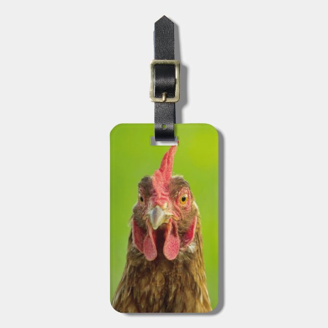 Pollo divertido - etiqueta del equipaje de la (Frente Vertical)