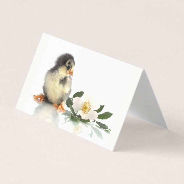pollo divertido · Tarjetas de Presentación Doblece (Anverso)