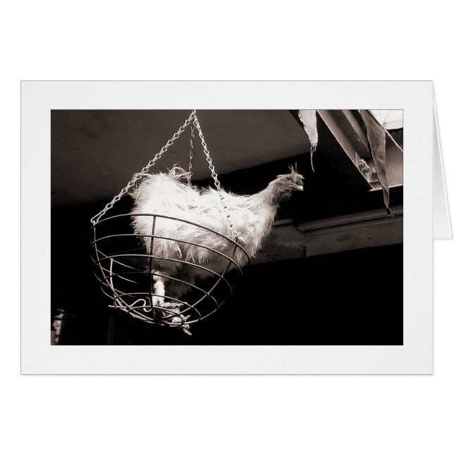 Pollo en la canasta (Anverso (Horizontal))