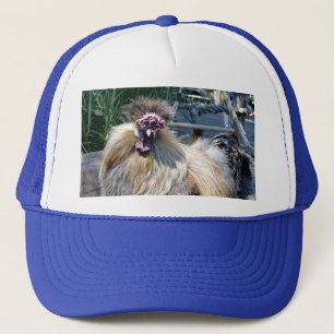 Pollo Feo Esponjoso, Sombrero