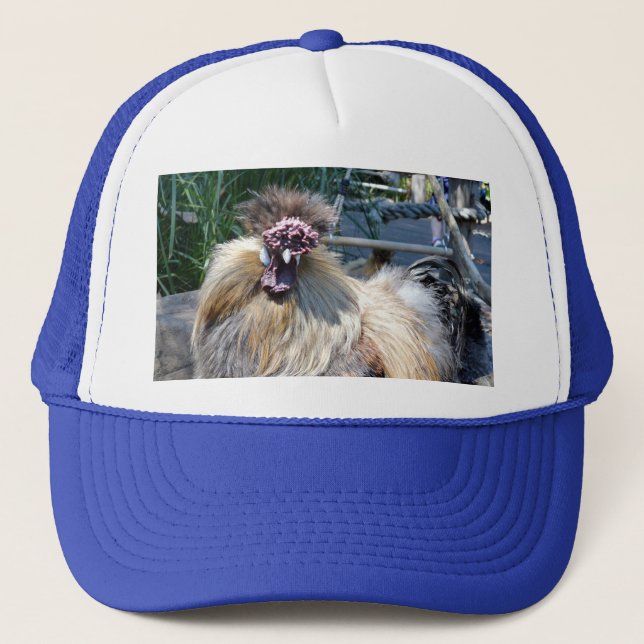 Pollo Feo Esponjoso, Sombrero (Anverso)