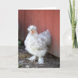 Pollo Furry - Tarjeta de felicitación humorística