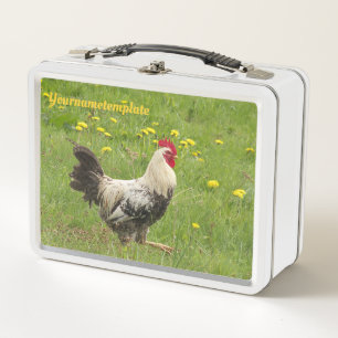 pollo, gallo, animal, ave, granja, agricultura,