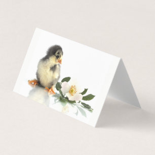 pollo gracioso ・ Tarjetas de visita dobladas