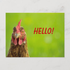 Pollo - hola postal