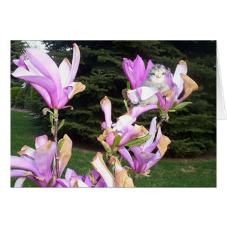 pollo lindo en una flor